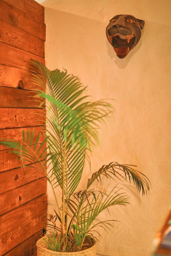 Hostel Blue Pepper Beds Sayulita Zewnętrze zdjęcie